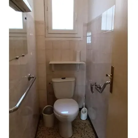 Mol فيلة
